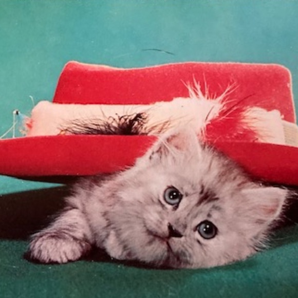 Vintage Smart Time Robe/Duster☕️🍩with tag - Picture 13 of 13